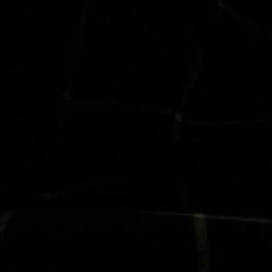 Meet your Posher, Vidusha